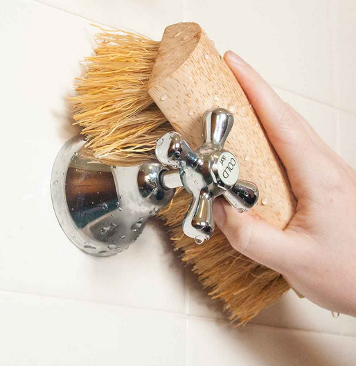 Scrub Brush