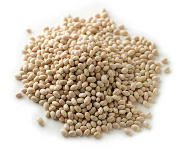 Navy Bean 100g