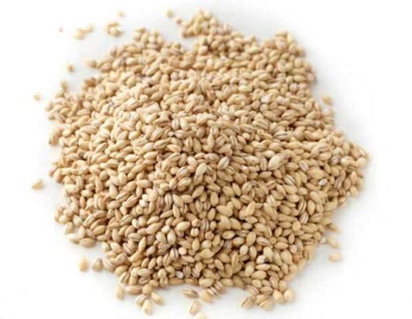 Pearl Barley 100g