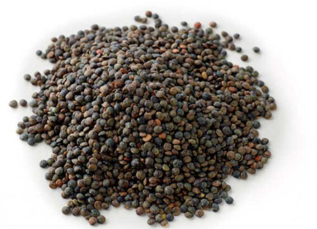 French Green Lentil - Dupuy 100g