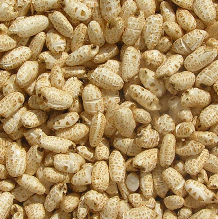 Organic Brown Rice Puffs 100g