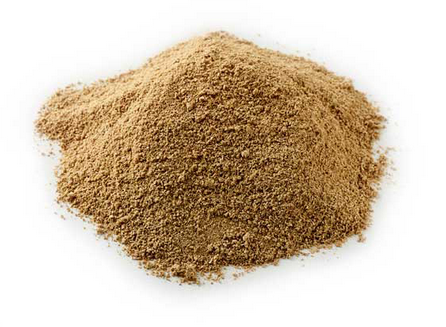 Organic Coriander Ground 50g