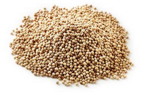 Organic Coriander Seed 50g