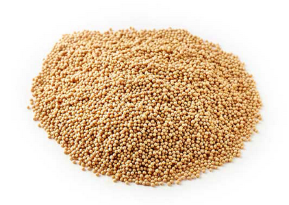 Yellow Mustard Seeds 50g