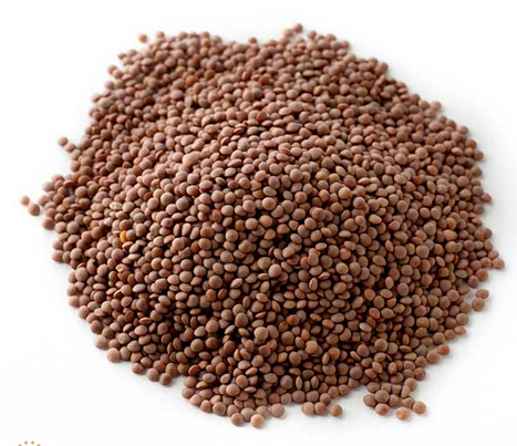 Australian Red Whole Lentil 100g