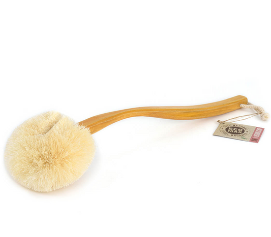 Back Brush with Long Handle