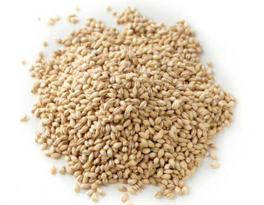Pearl Barley 100g