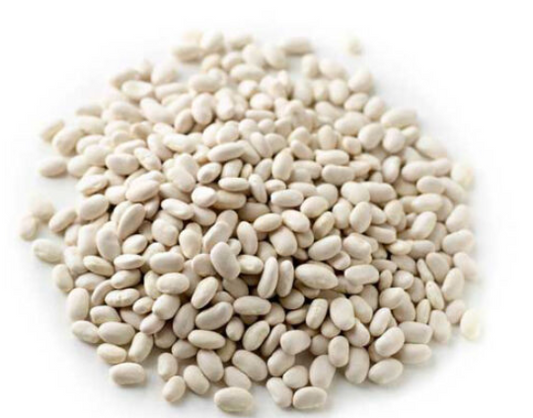 Great Northern Bean 100g