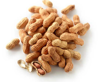 Australian Roasted Peanut in Shell 100g